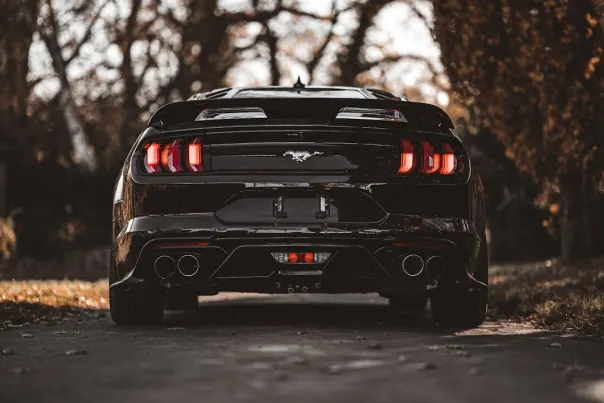 Posh Bingo Casino Android/iOS App